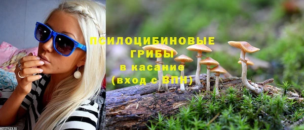 твердый Карталы