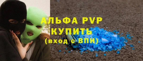 СК Касимов