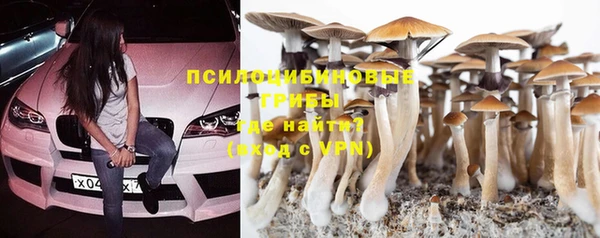 СК Касимов