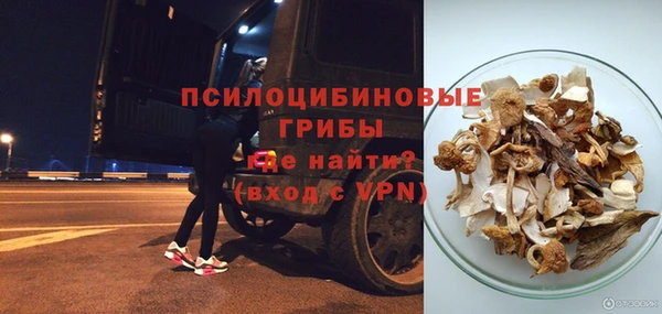 СК Касимов