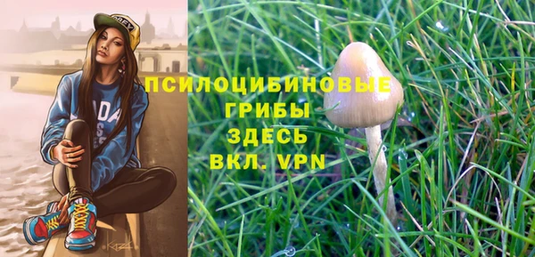 твердый Карталы